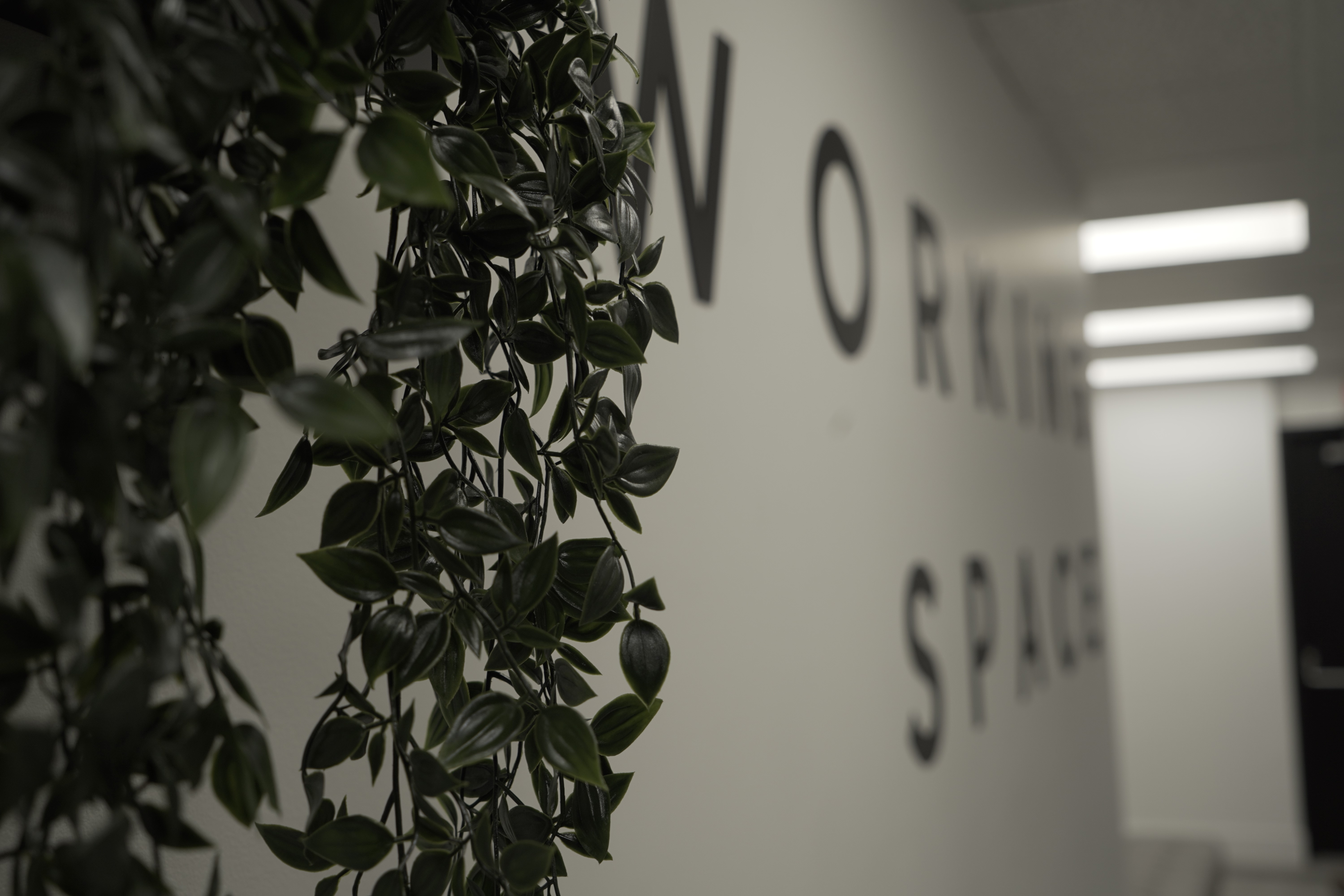 Coworking du Plateau, photo 9